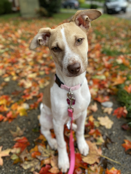 Zoey