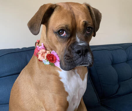 Greta