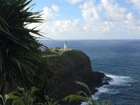 Kauai’s  Sentinel 