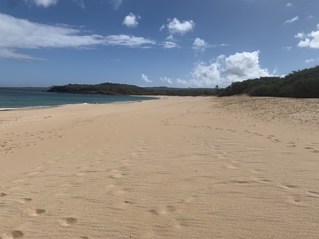 Footprints in the Sand