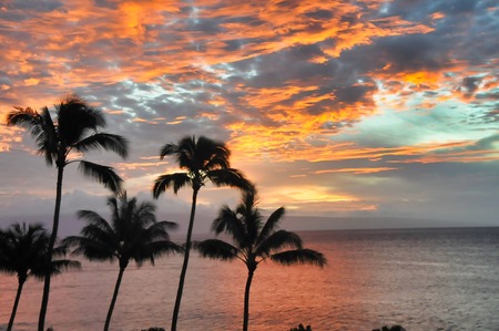 bedtime on Maui