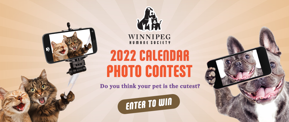 2022 Humane Society Christmas Bazaar Winnipeg Humane Society 2022 Calendar Photo Contest 2022 Humane Society Christmas Bazaar Winnipeg Humane Society 2022 Calendar Photo Contest