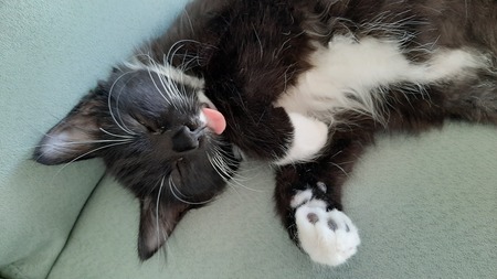 Luna