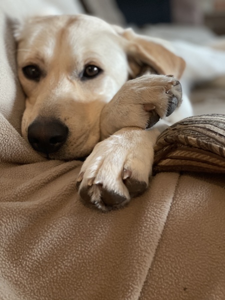 Samantha 