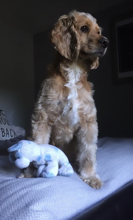 Diego 