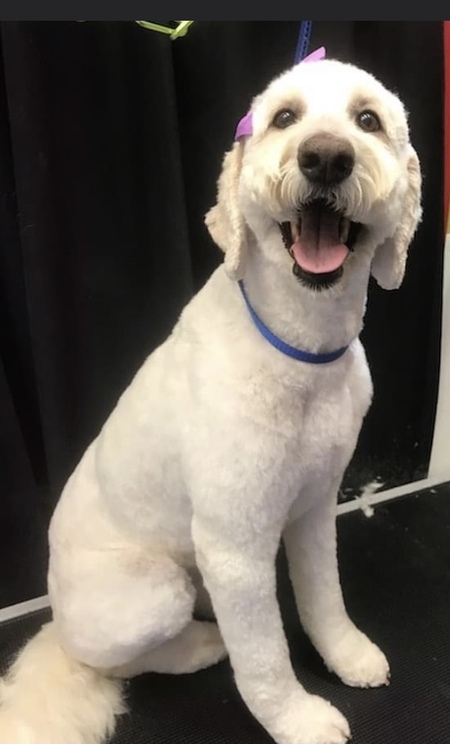 Chloe