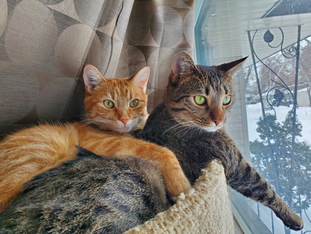 Brody & Willow