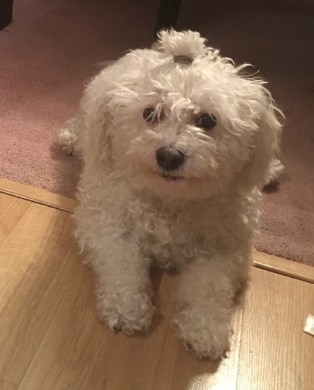 Maggie