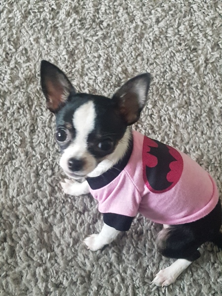 Minnie