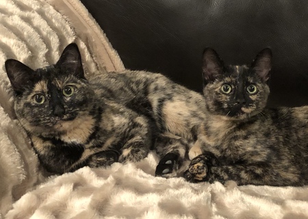 Jalna & Jasmine