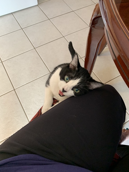 Scooter- Little one 