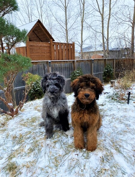 Ellie Mae and Duke