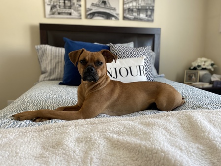 Maggie