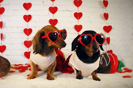 Audrey and Iris