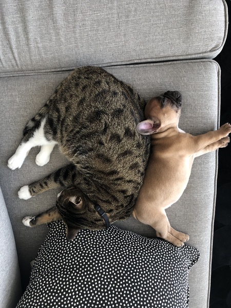 Greg and Lily