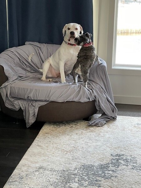 Molly & Ivy