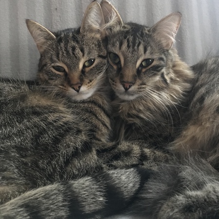 Willa & Rufus