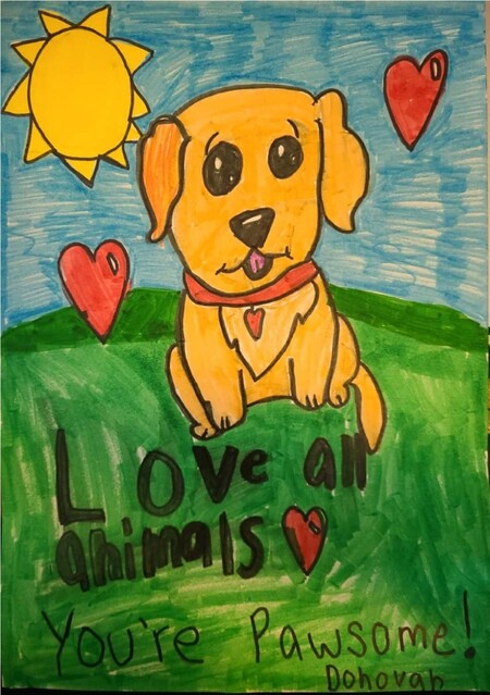 Love All Animals