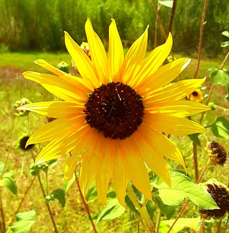 "Keep on the Sunny Side"