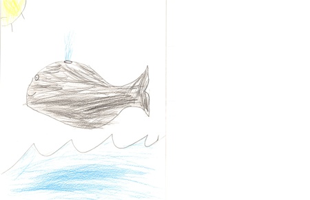 Having a Whale of a Time