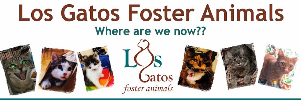 Banner for Where are we now?