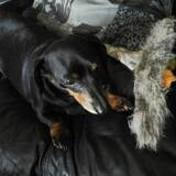 Entry image for Mandy