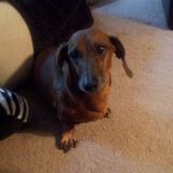 Entry image for Franklin