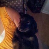 Entry image for Momo