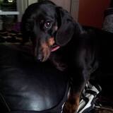 Entry image for Alison