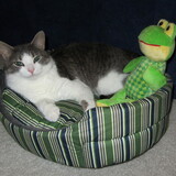 Entry image for Einstein Newton Berndt