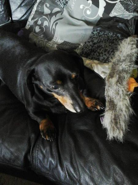 Entry image for Mandy. Clicking this image will show a larger photo