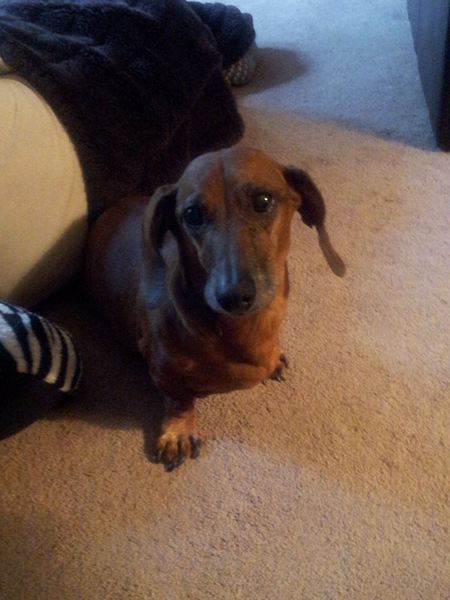 Entry image for Franklin. Clicking this image will show a larger photo