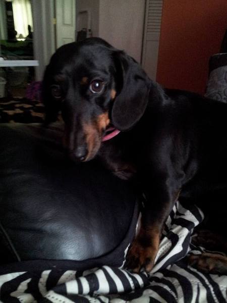 Entry image for Alison. Clicking this image will show a larger photo