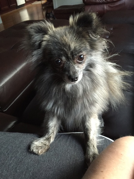 Entry image for Priya. Clicking this image will show a larger photo