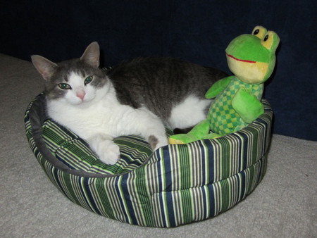 Entry image for Einstein Newton Berndt. Clicking this image will show a larger photo