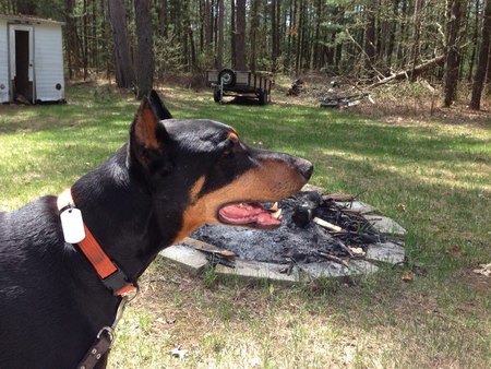 Entry image for Trey. Clicking this image will show a larger photo