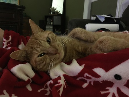 Philbert
