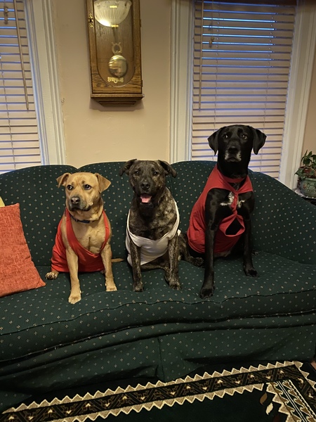Left to right:  Keke, Deke, Saisha