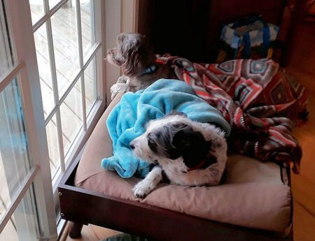 Lucy and Henry