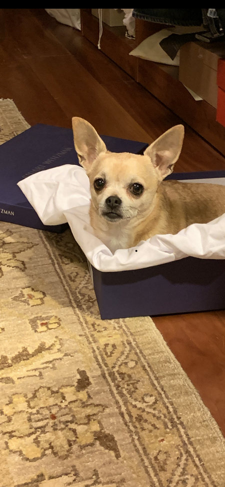 Chloe