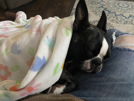 Tillie