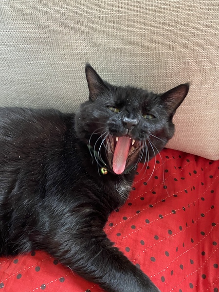 Benson