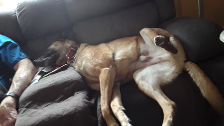 Max