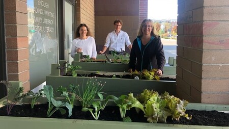 Community Care Garden 