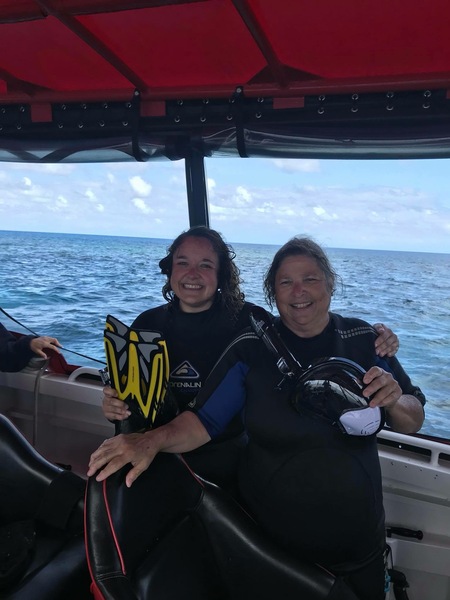 Snorkelling the Great Barrier Reef