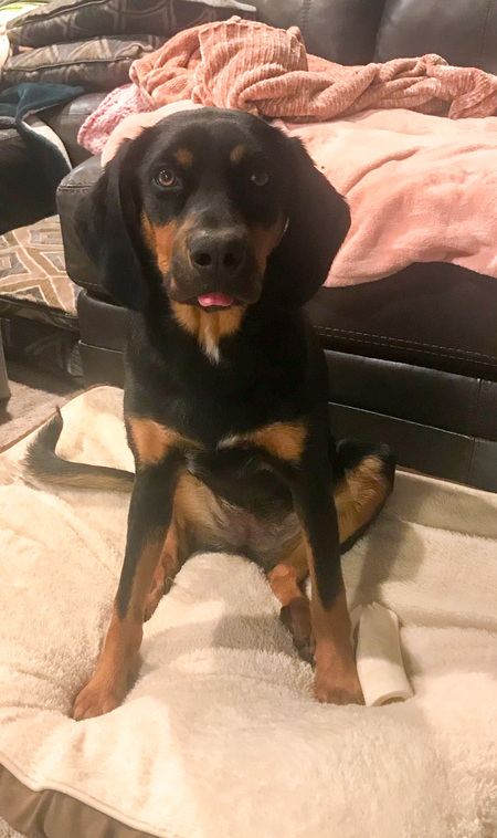 Ruby