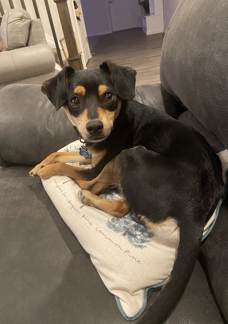 Max