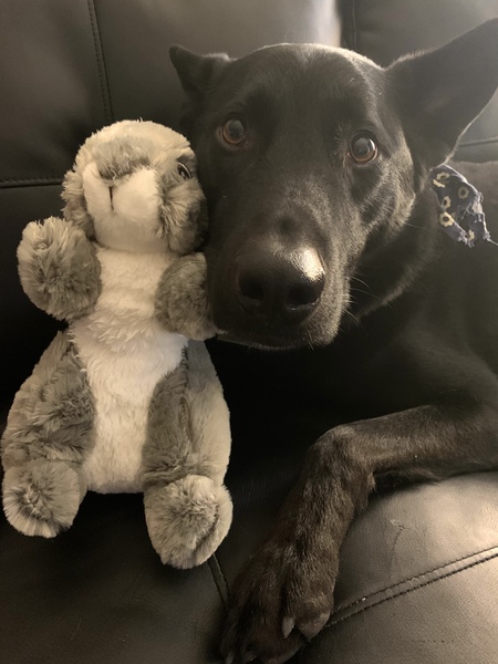 Milo