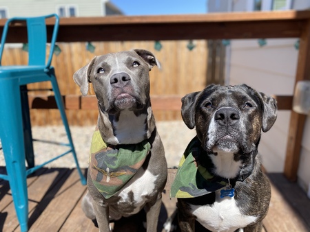Luna & Logan 