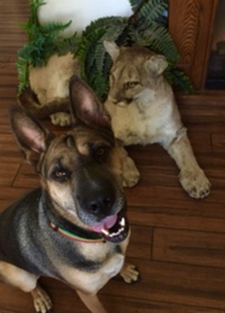 Hazel